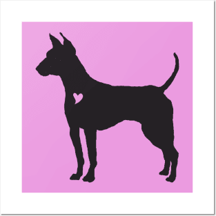 My American Hairless Terrier Heart Belongs To You Posters and Art